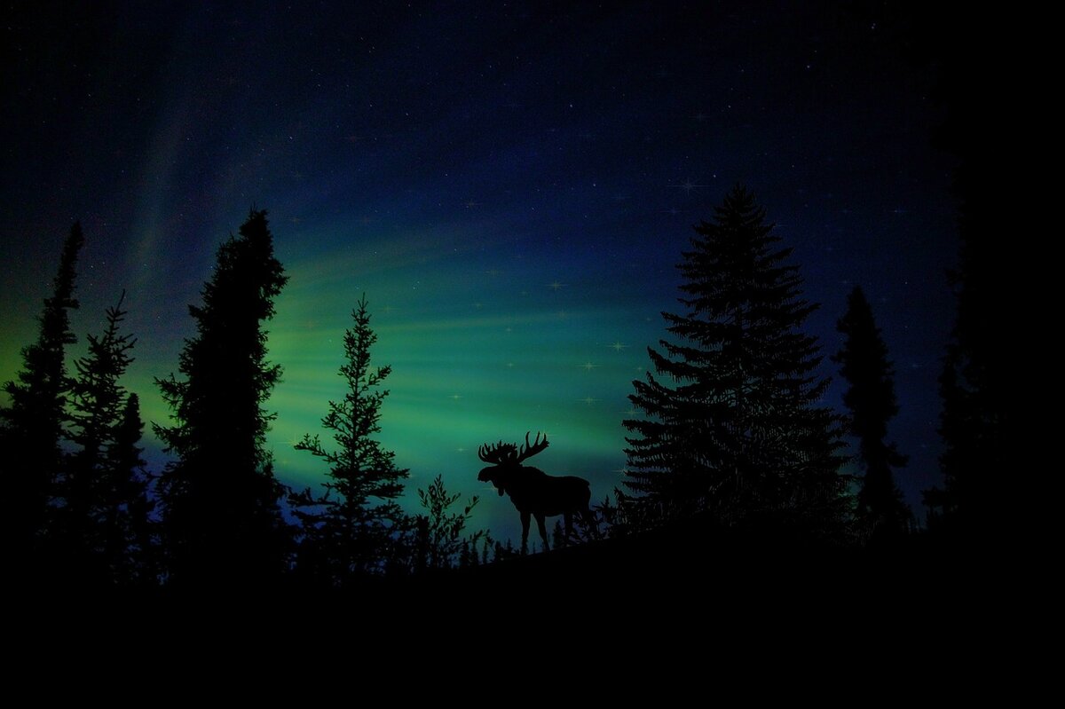 https://pixabay.com/ru/
