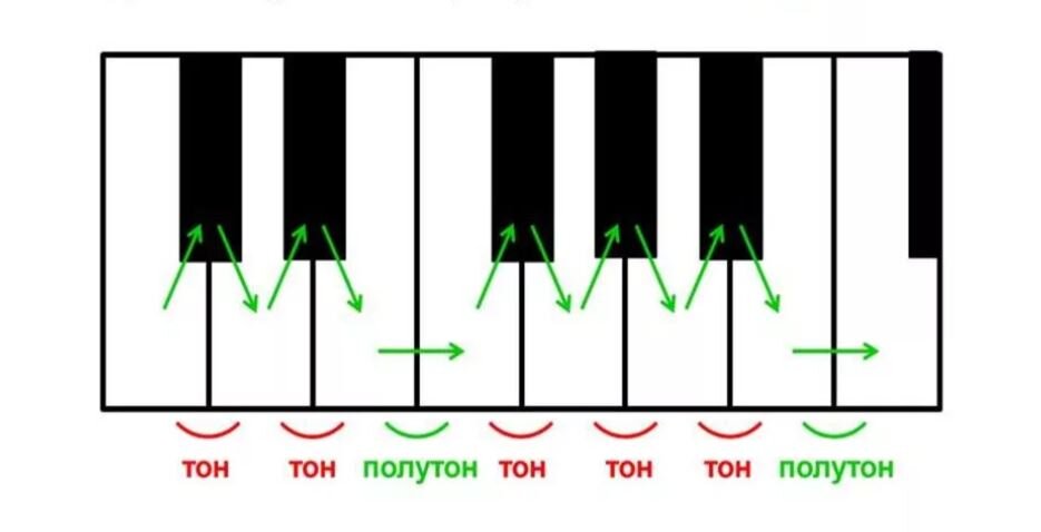 Тон полутон. Полутон в Музыке. Тон в Музыке. Знаки альтерации в Музыке для детей. Диез и бемоль.