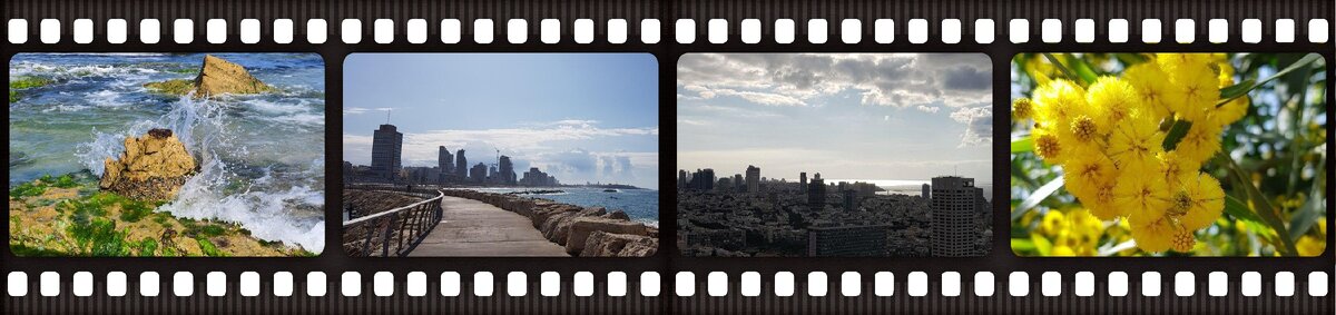 ©️ Юлия Менакерман