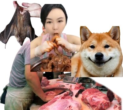 Коллажи моя гордость)))