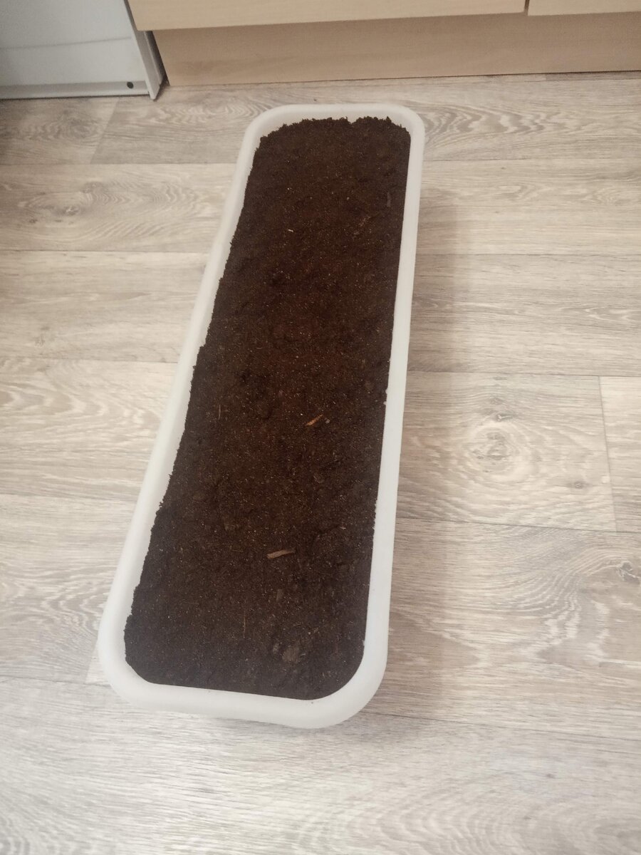 Ящик для будущего урожая 😀