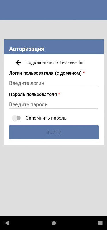 Вход в систему WSS Docs через мобильное приложение