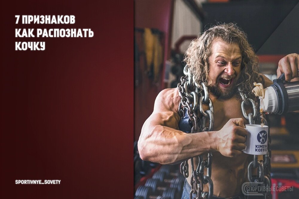 открытый источник