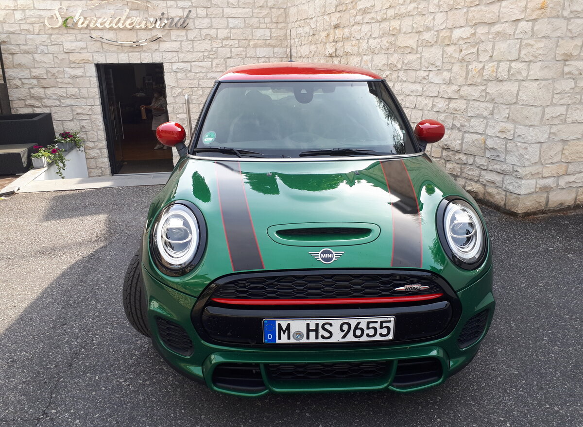 Mini завоевал сердца. 