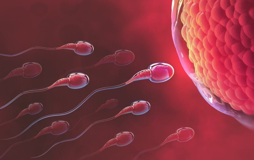 Долгожданная встреча.