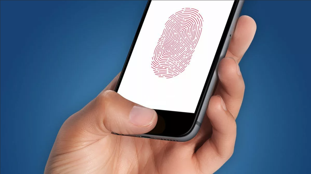 Вся площадь экрана и есть сенсор для распознавания отпечатков пальцев.