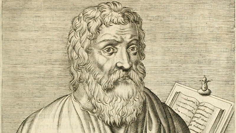 Яндекс Картинки