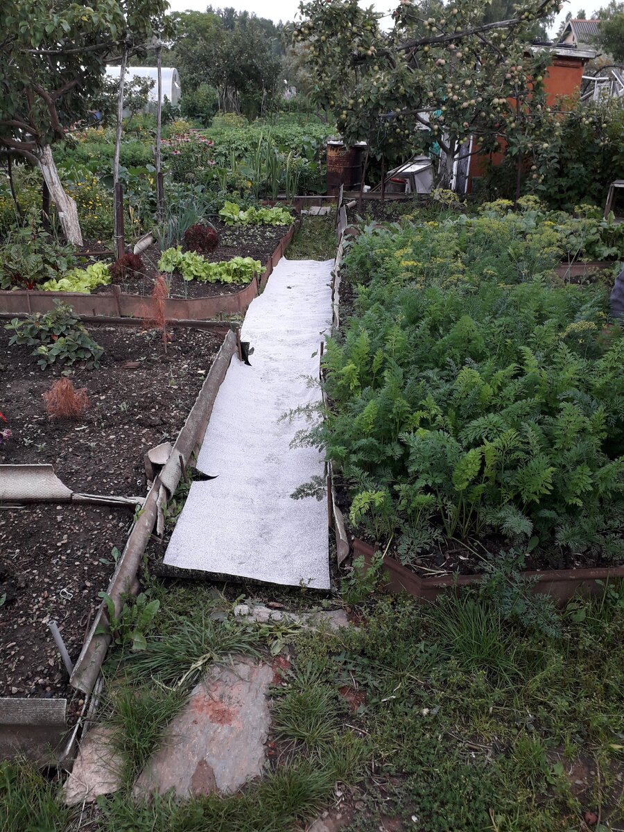 Рвется сразу. Фото автора