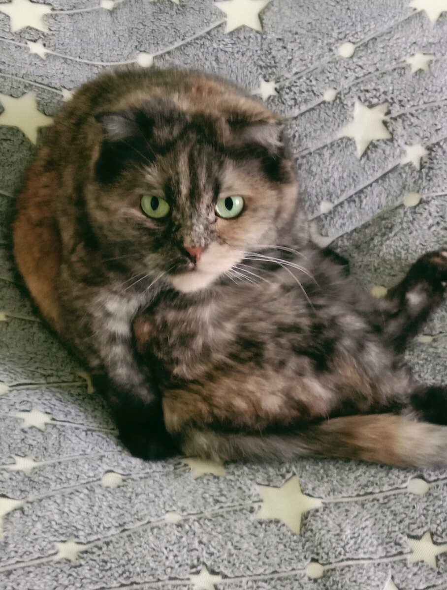 Что-то не так?