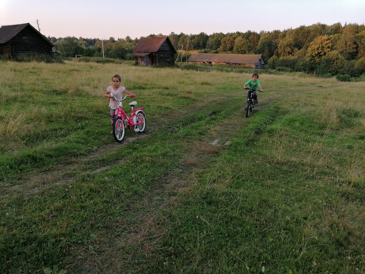 Гонки на велосипедах...