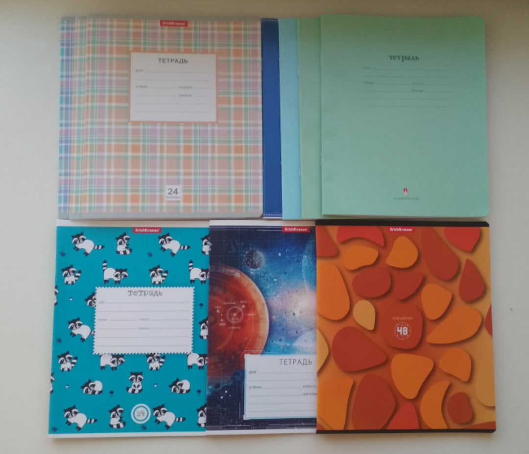 Вот такие тетрадки выбрал себе братец. Цена — 247 рублей. 