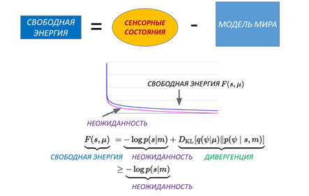 Конституция биоматематики