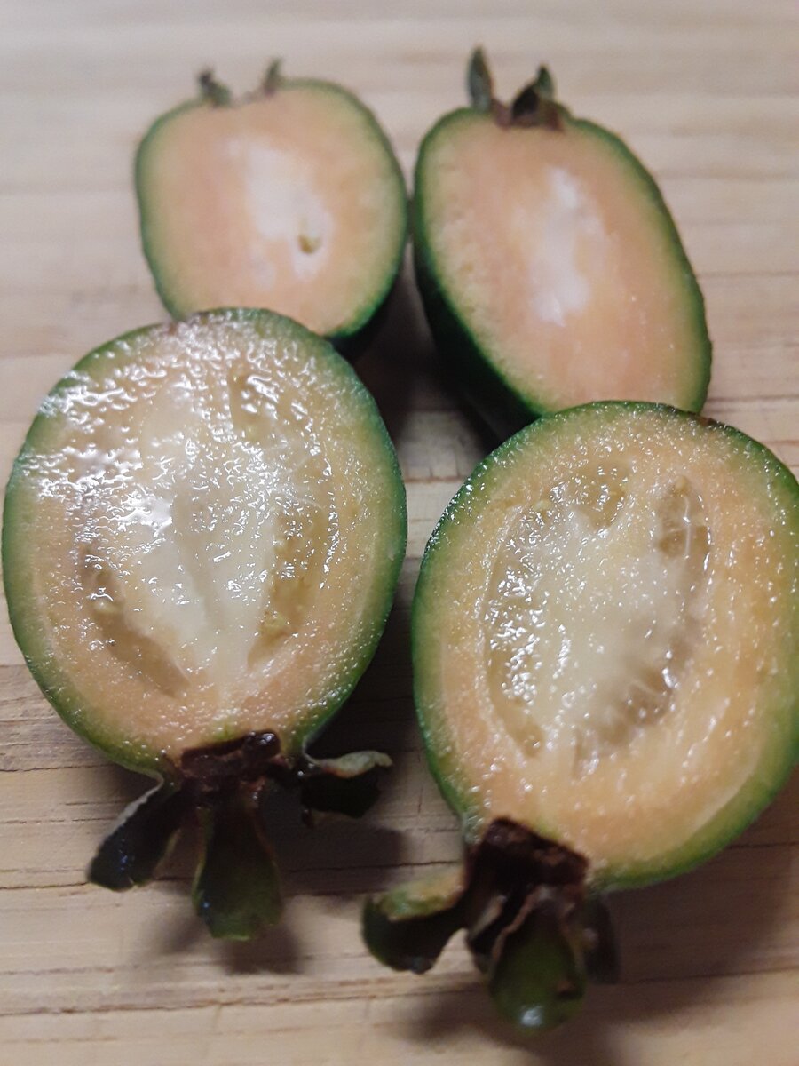 Продольный срез фейхоа