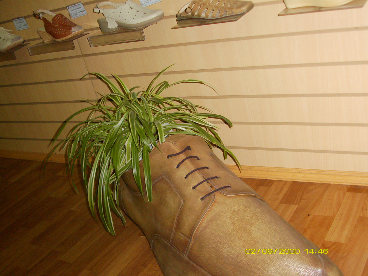 Достопримечательность обувной фабрики в Бийске. Фото автора канала.