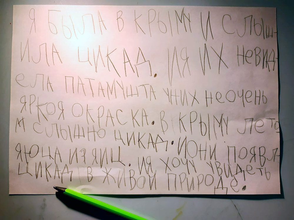 "Сочинение" про цикад