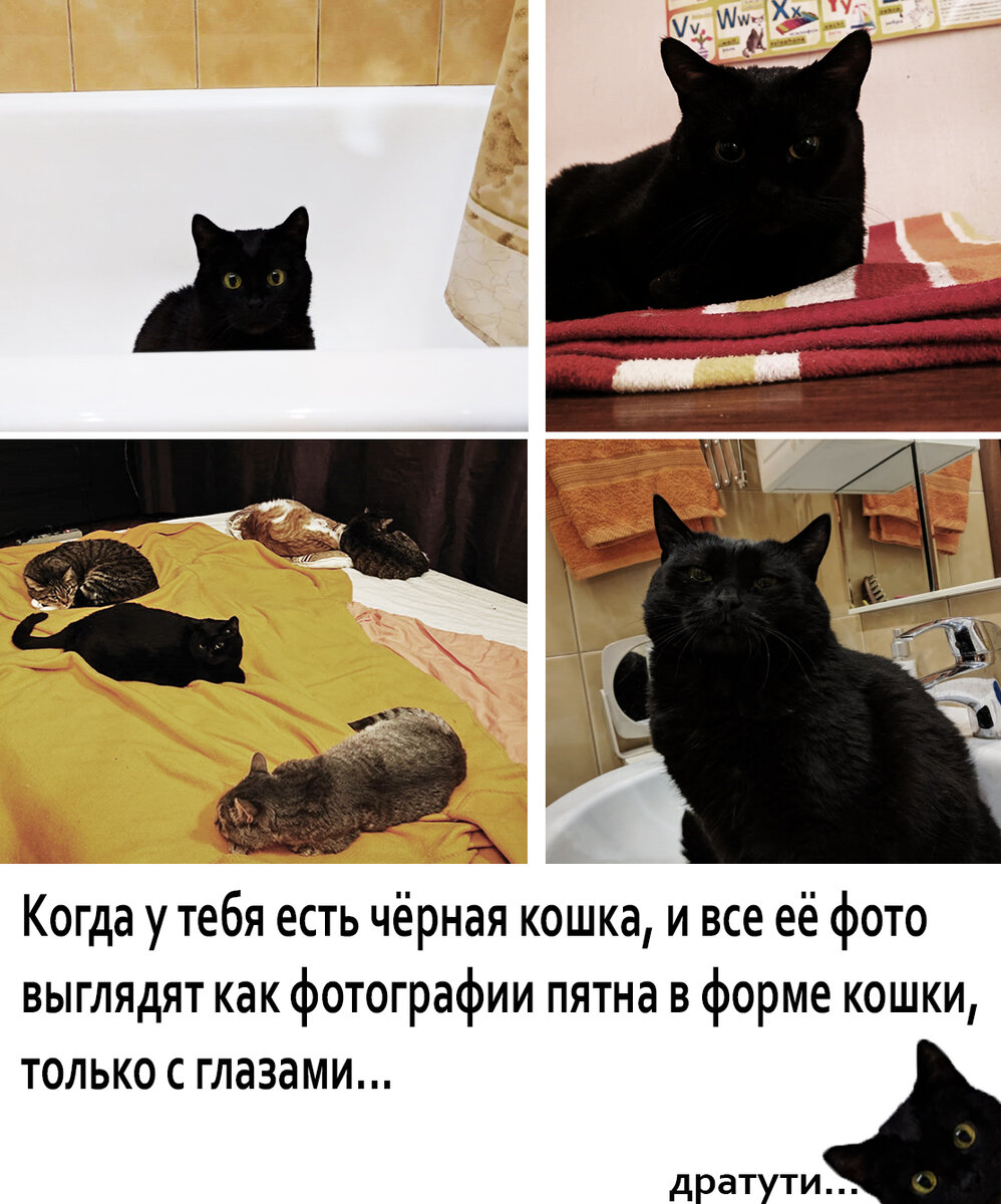 Мо