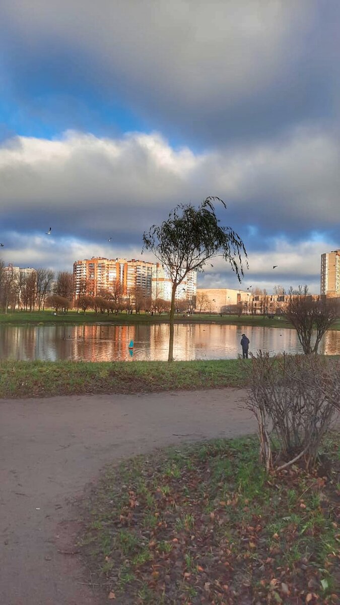 Сегодня прекрасный день на улице