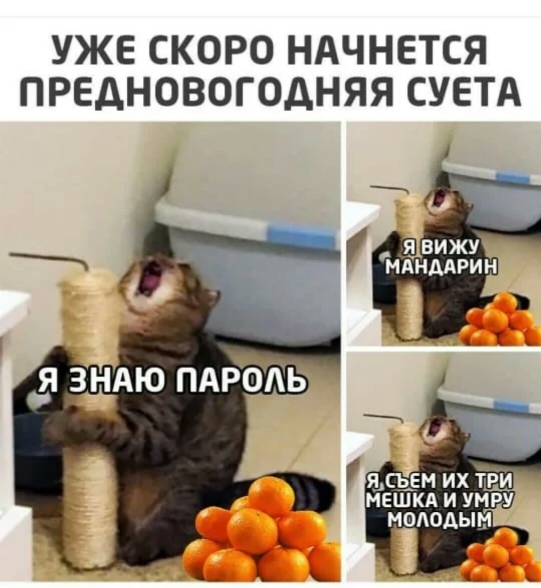 Не ври что не пропел...