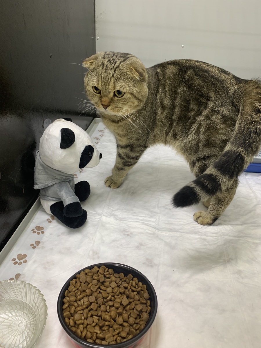 Я в карцере😼