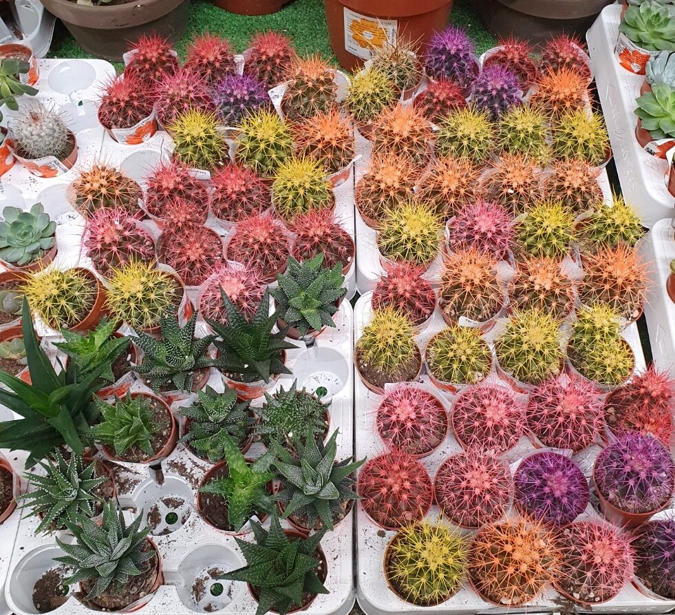 На любой вкус и цвет