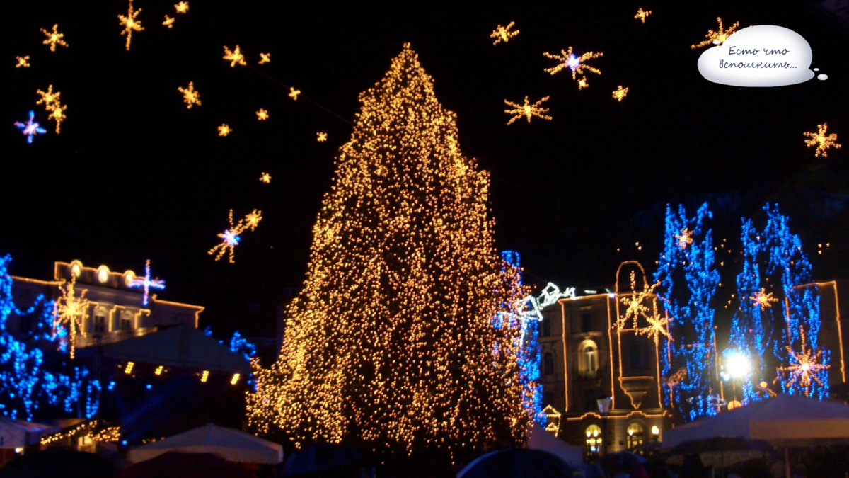 Фото из свободных источников интернета Яндекс.картинки