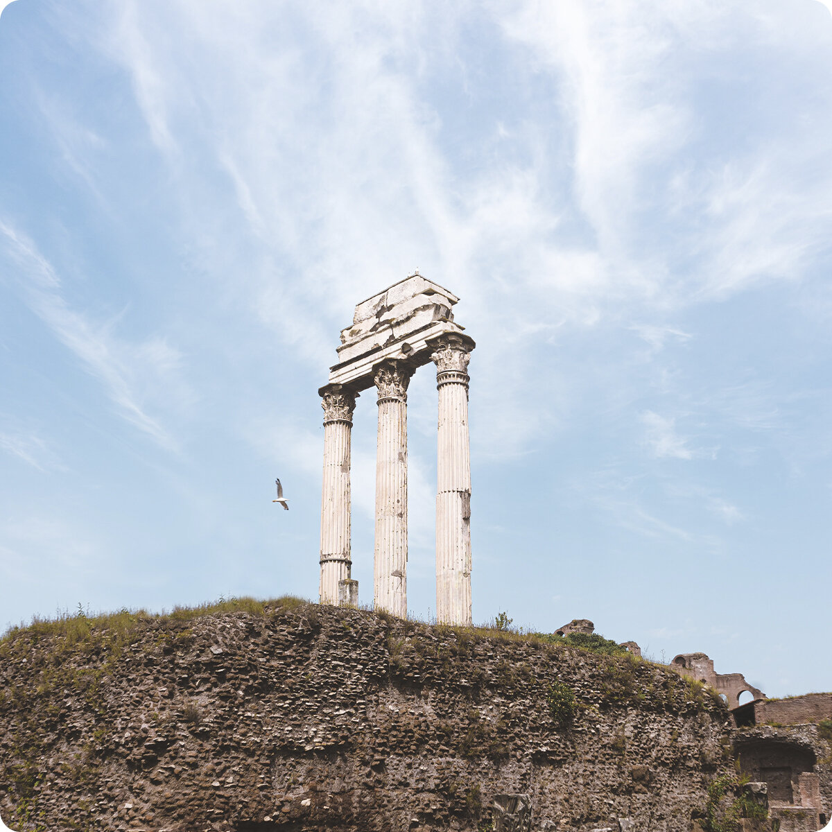 Photo by Cezar Sampaio on Unsplash