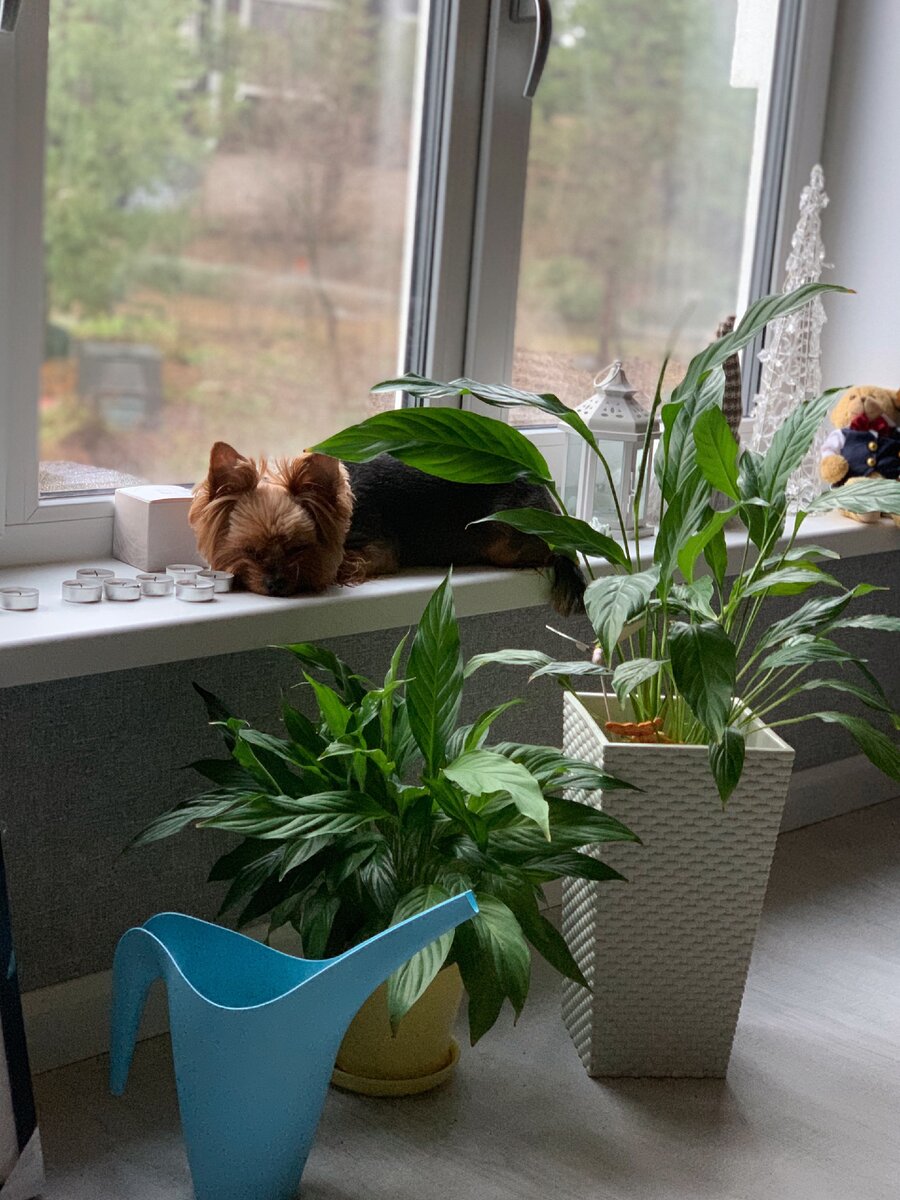 На страже ;)