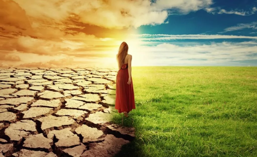 С отказом от сладкого и мучного я словно просыпаюсь и оживаю.