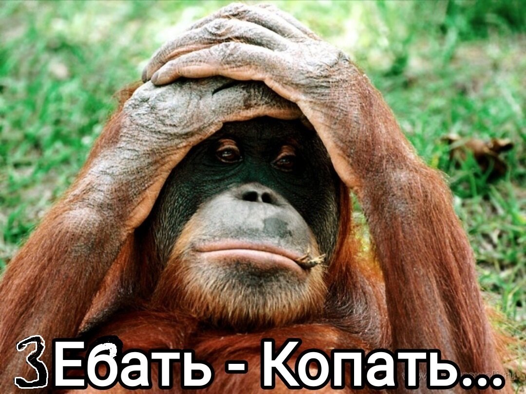 Все мы хотим достойной жизни... Но сильным мира сего, это то ЗАЧЕМ?
