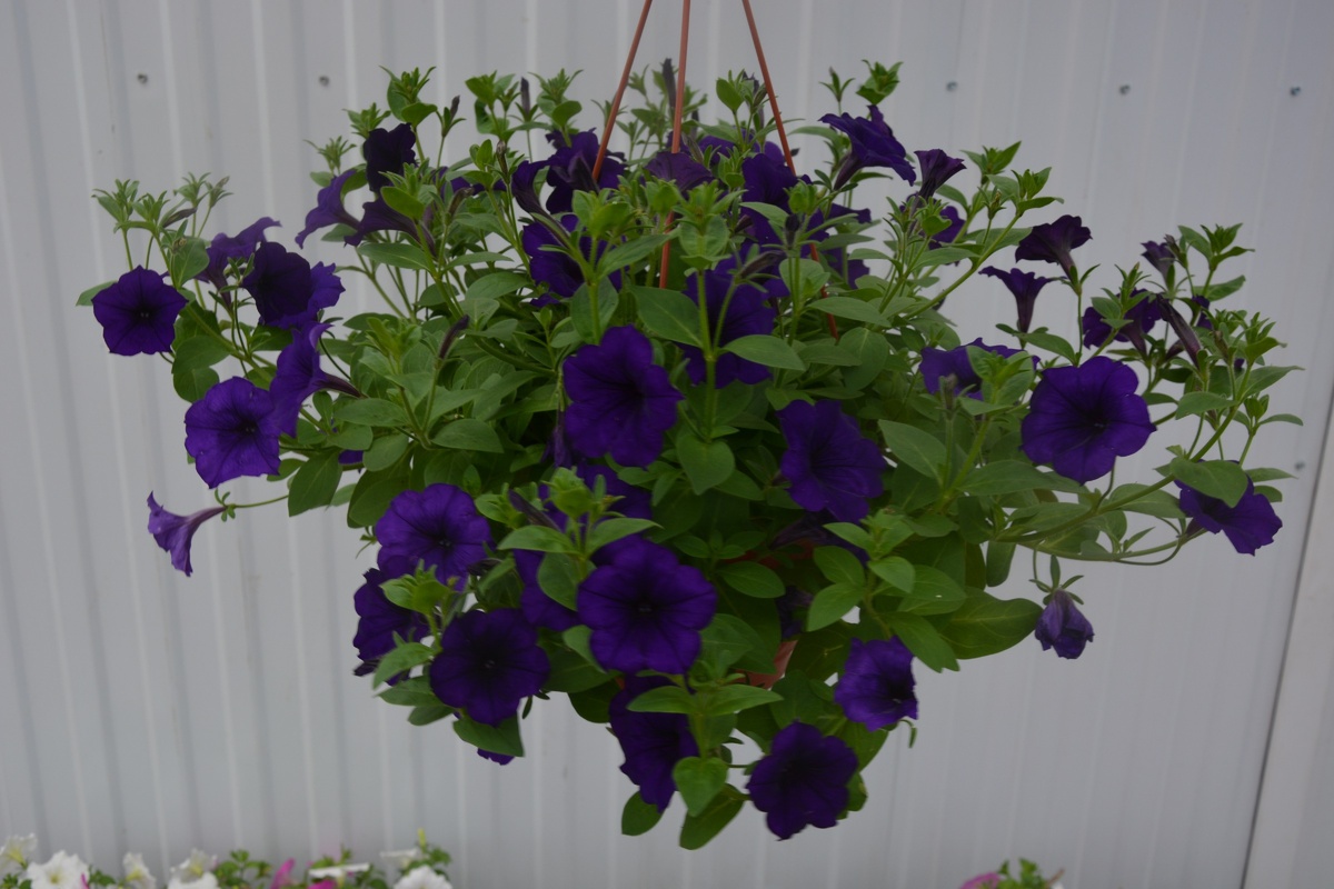 РЕАЛЬНОСТЬ