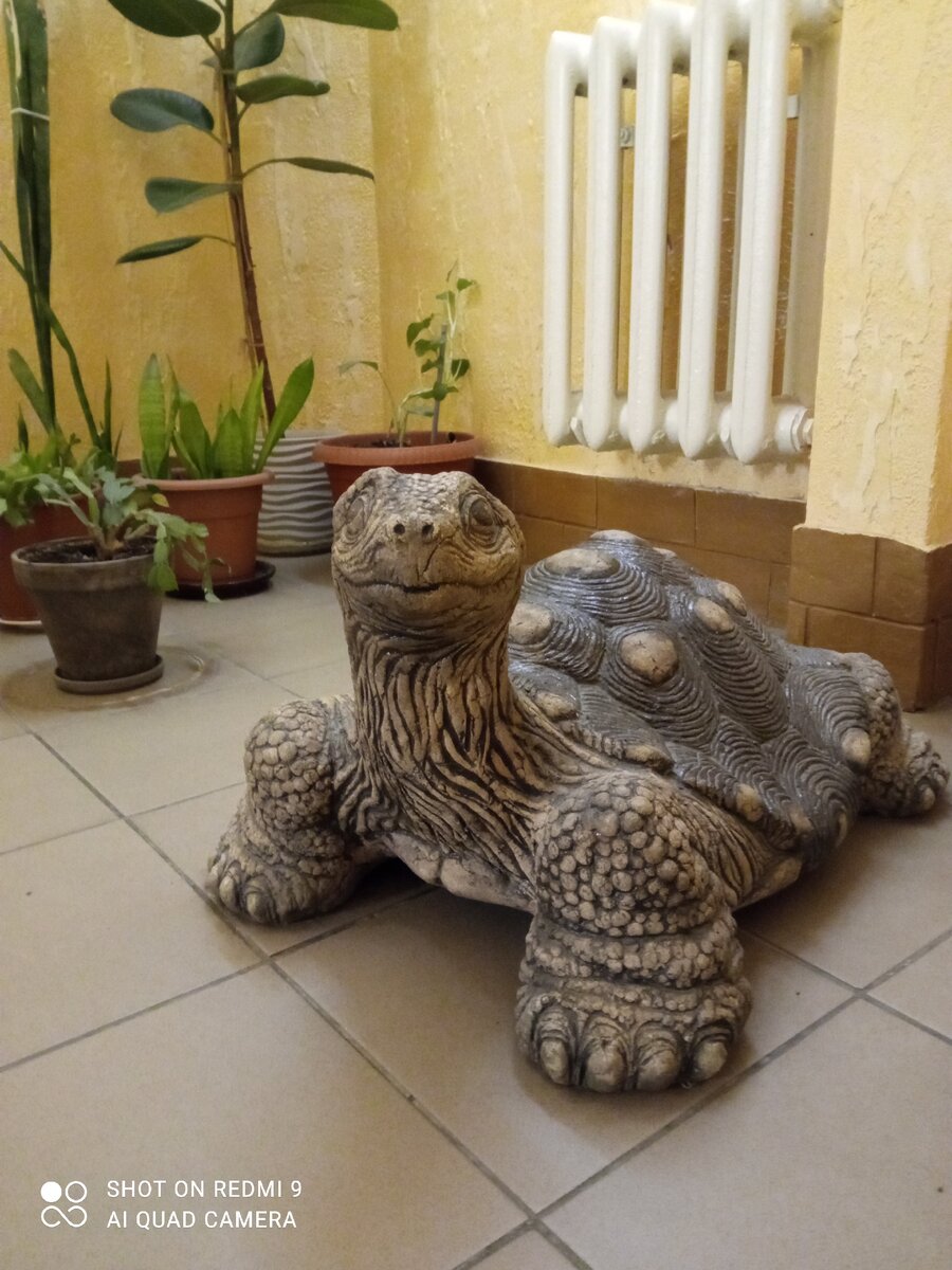 "Черепашка" Автор. П. Сатункин