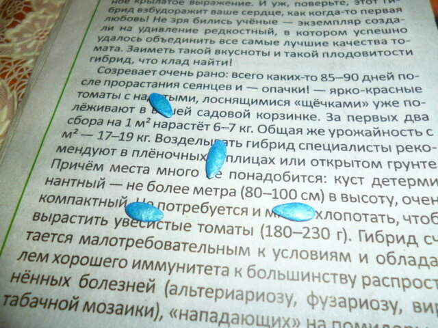 Это то, что было внутри пакетика (всего их 10 штук за 25 рублей. Нормально, да?).