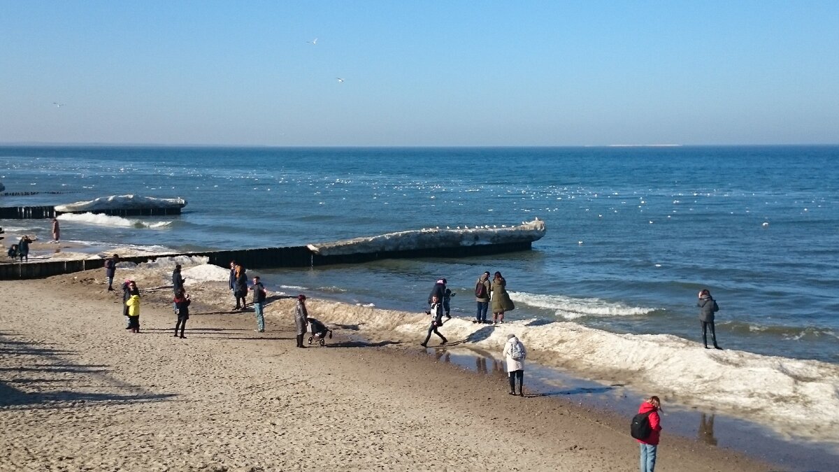 Вода в зеленоградске сегодня балтийском море