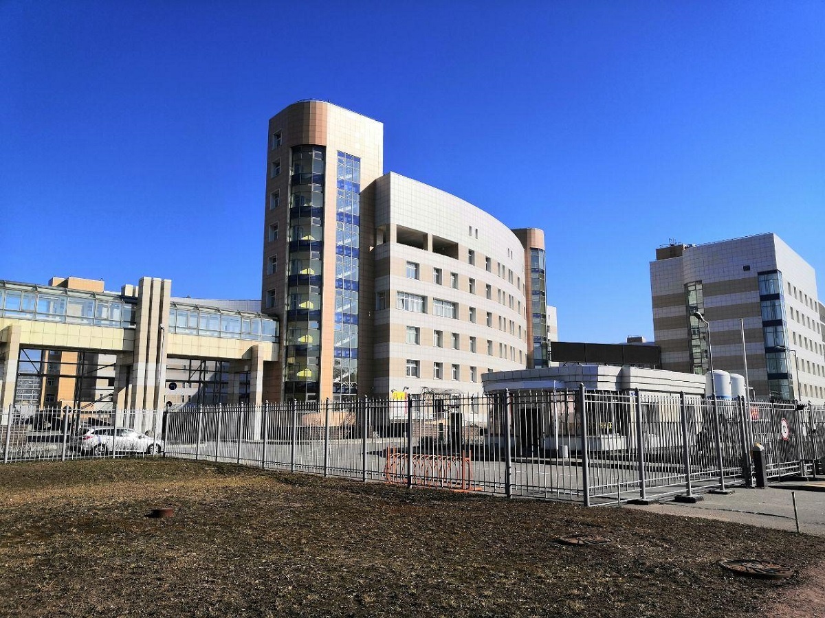 Фото взято с яндекс-новости