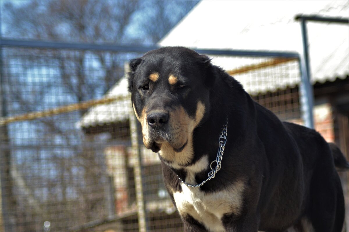 фото из личного архива