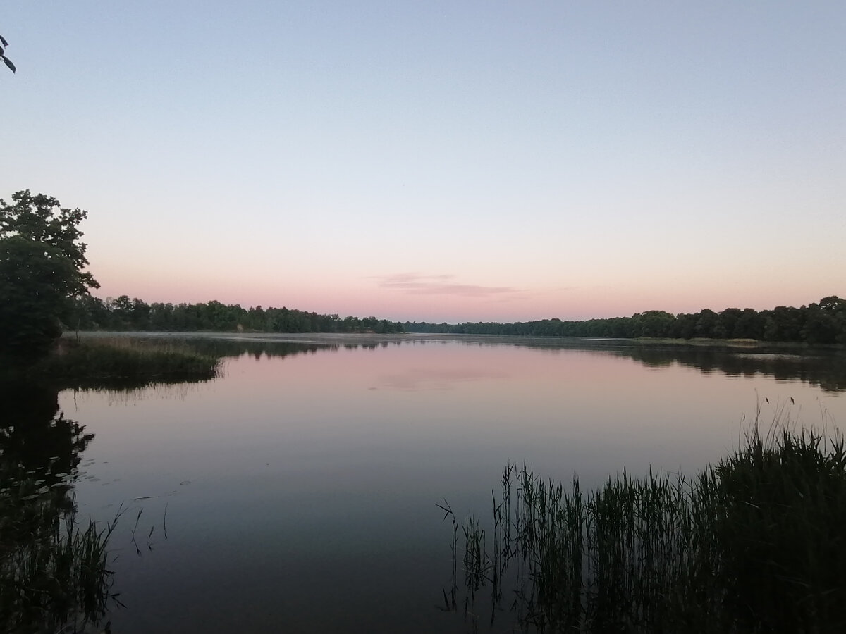 Тихий рассвет