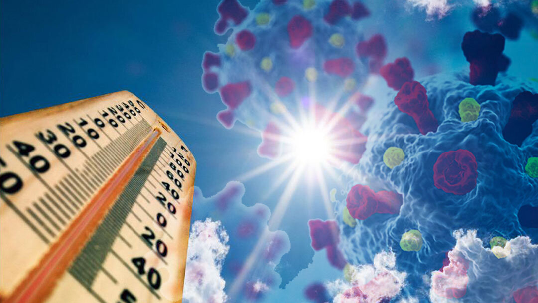 Фото: livescience.com