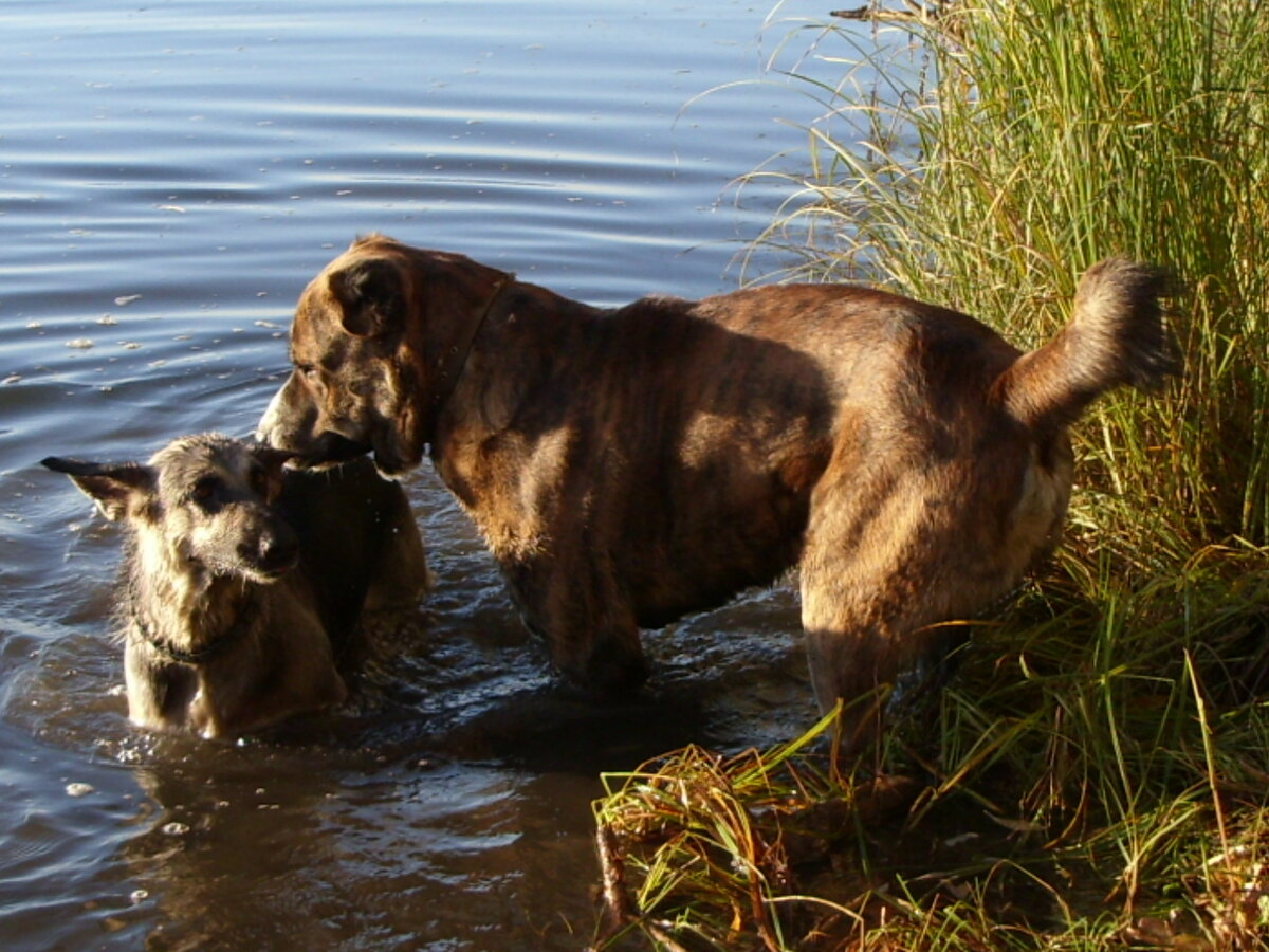 Фотка старая, но прежде не публикованная: Хан с восточницей Гердой.