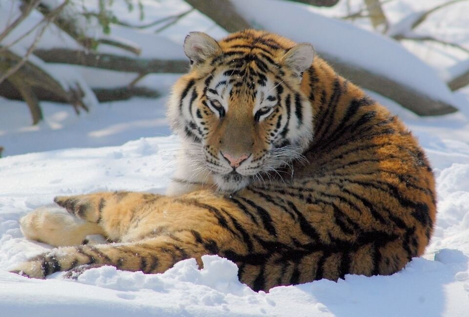 Источник: flickr. Автор: Valerie
