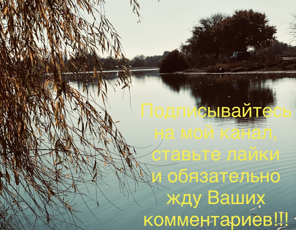 #приятного аппетита мои ожорки!👩🏻‍🍳 