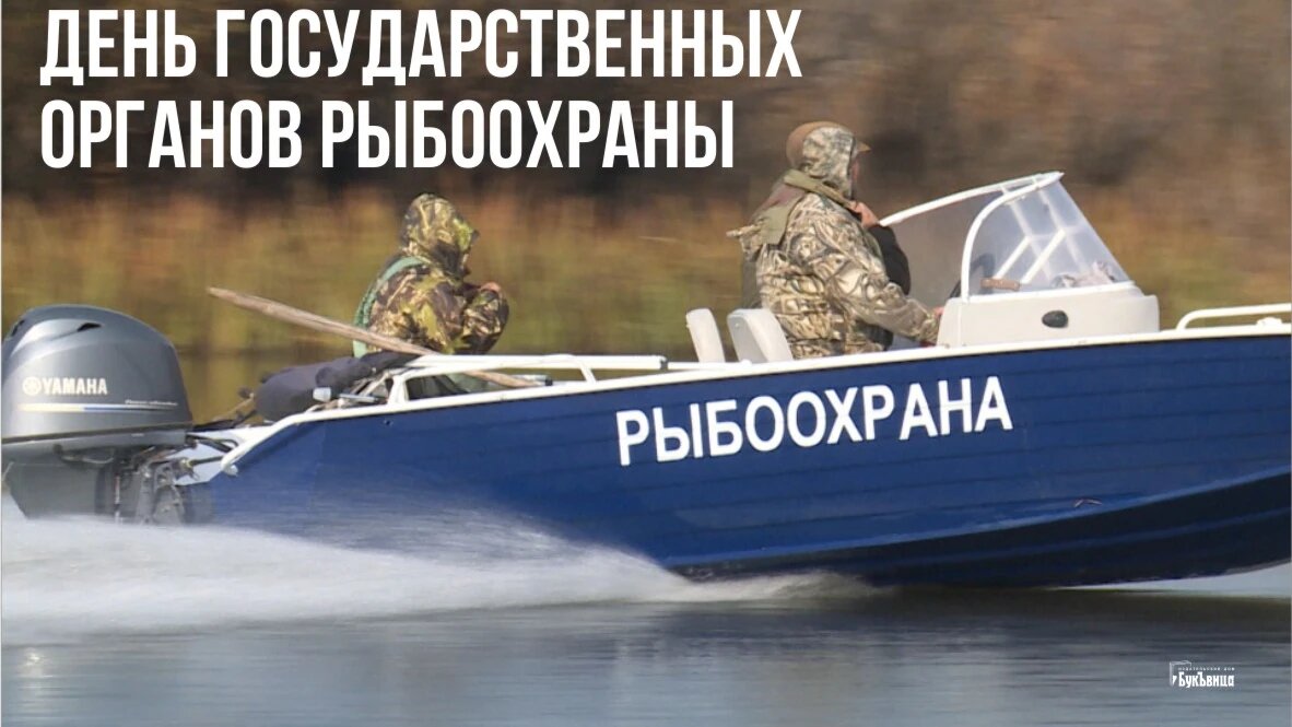 День государственных органов рыбоохраны. Иллюстарция: Курьер.Среда 