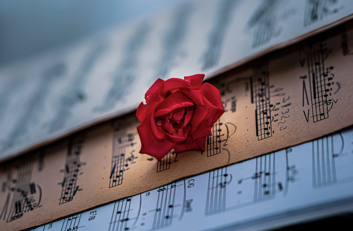 Ноты и роза  // Фото: Pixabay / Ri_Ya