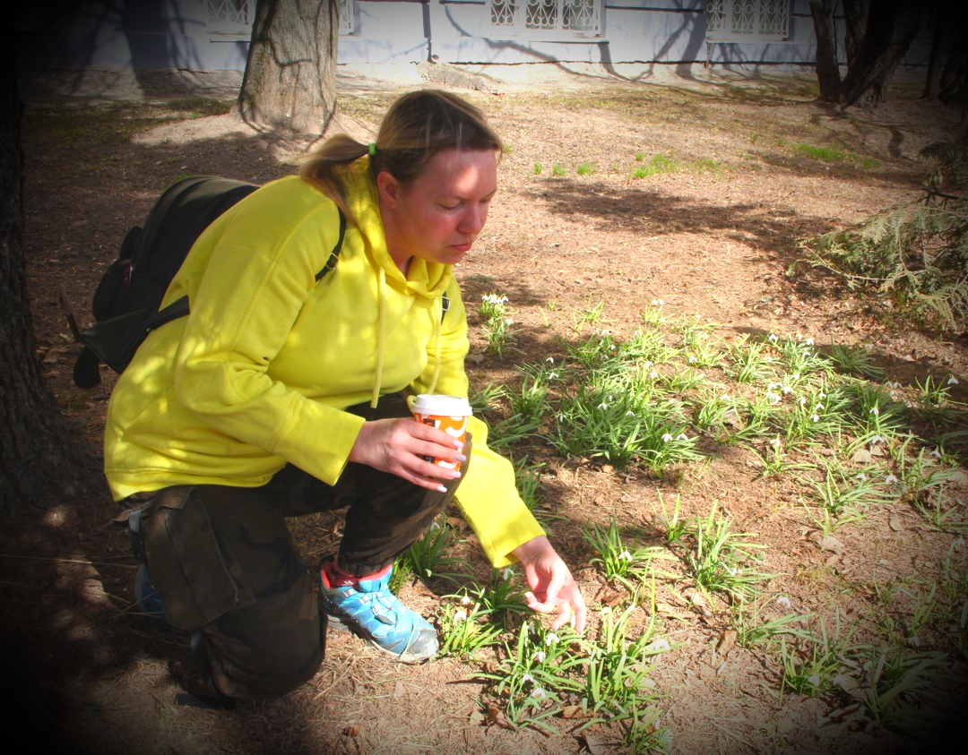 Прогулка 23.04.2022 года. Фото Александра Тонких. У нас тут кто-то беленький проклюнулся. Ни ландыши, Ни подснежники. Ни крокусы. Бог знает, "кто" такие. Попробуйте приблизить фото, может подскажете, что за цветы? Как маленький пропеллер.