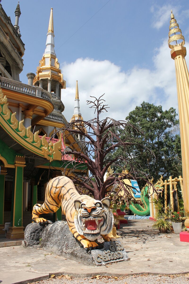 Храм Тигра, провинция Краби, Таиланд. Tiger temple, Krabi, Thailand 