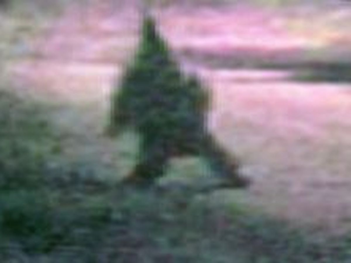 Кадр из видео, снятого очевидцами, на котором изображён предполагаемый "гоблин"