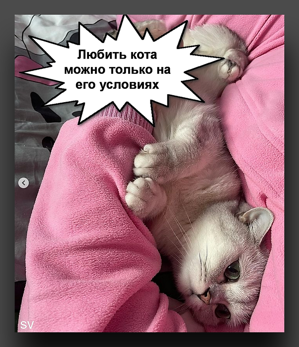 Фото автора публикации