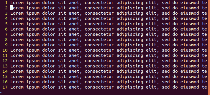Некий текст. строки длинные и уходят за край окна/экрана