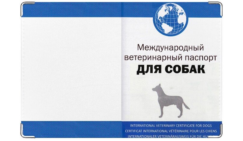Вязка собак (случка): когда и как вязать собаку в первый раз | Блог зоомагазина lilyhammer.ru