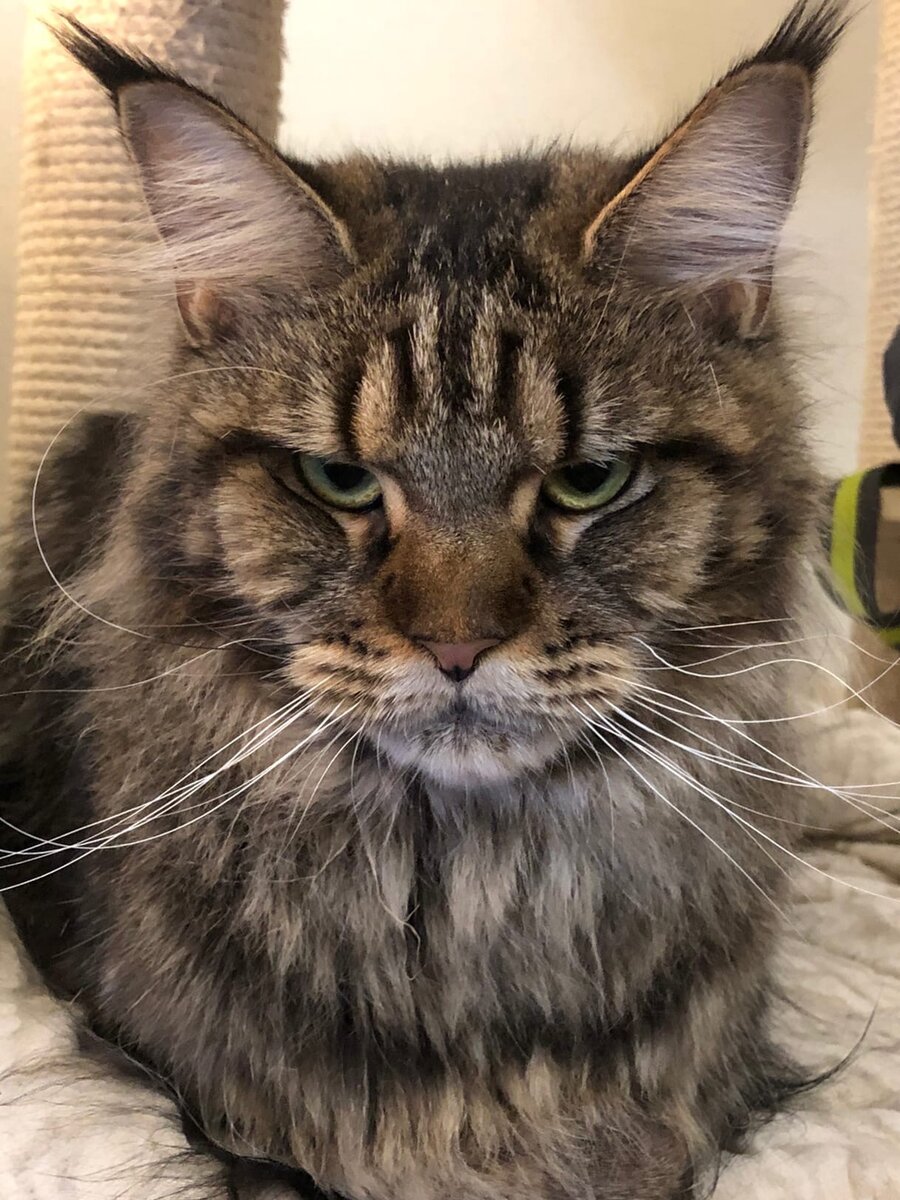 Фото из личного архива.