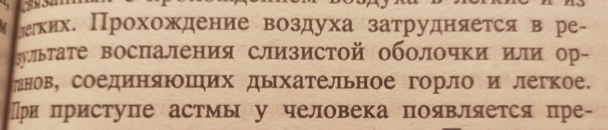 Фото автора канала